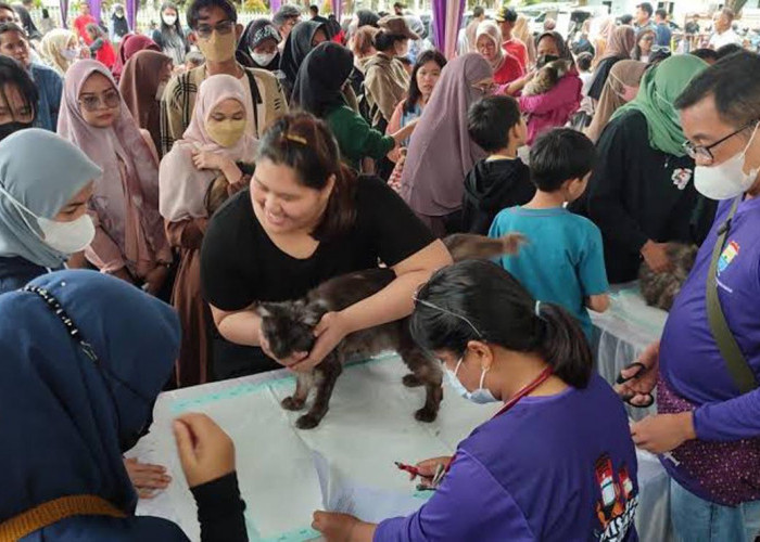 Optimis 2024 Bebas Rabies, Pemkot Palembang Lakukan Gerakan 3 In 1