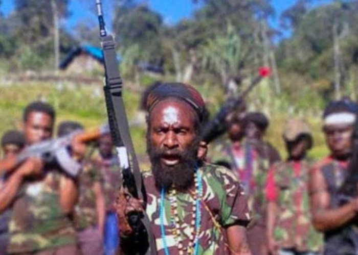 Ooo...Ternyata Ini Salah Satu Alasan TNI Belum Menetapkan Operasi Militer KKB Papua
