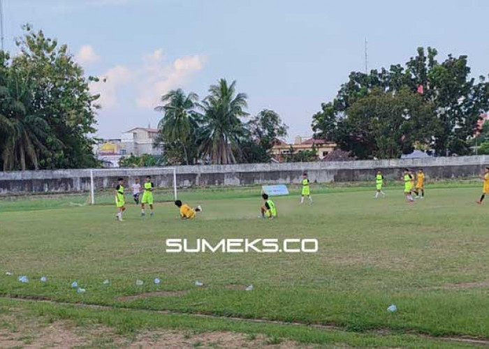 David FC Sua Bhayangkara Sriwijaya di Final