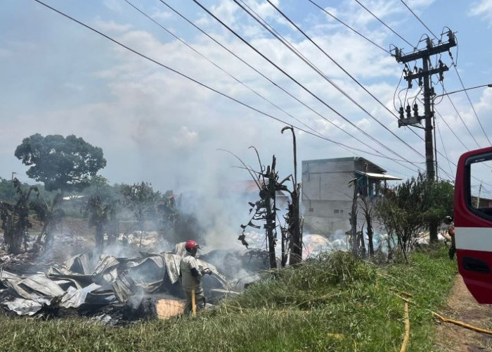 Waspada Musim Kemarau! PLN Imbau Hindari Aktivitas Picu Kebakaran Dekat Jaringan Listrik