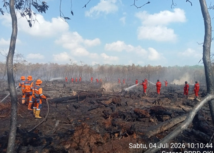 Sisa 4 Hektar Lahan Gambut Terbakar di Desa Sumber Hidup OKI Fokus Mopping Up