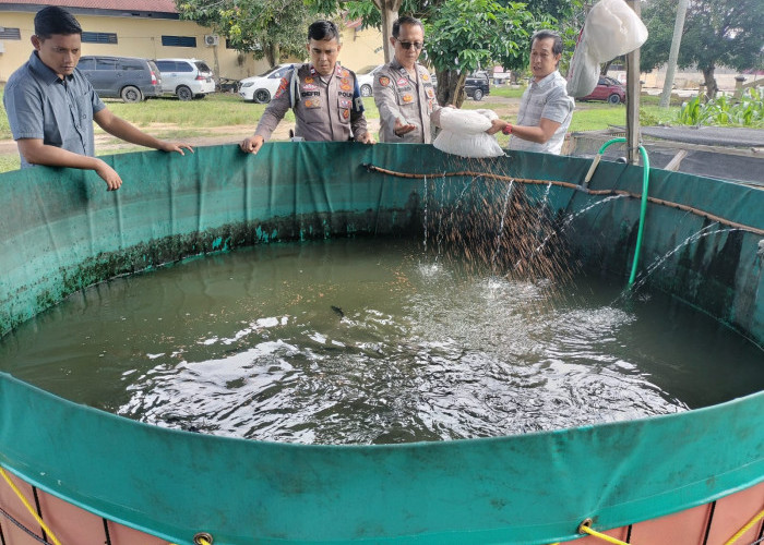 Polsek Indralaya Ogan Ilir Monitoring Perkembangan Ternak Ikan Program Ketahanan Pangan