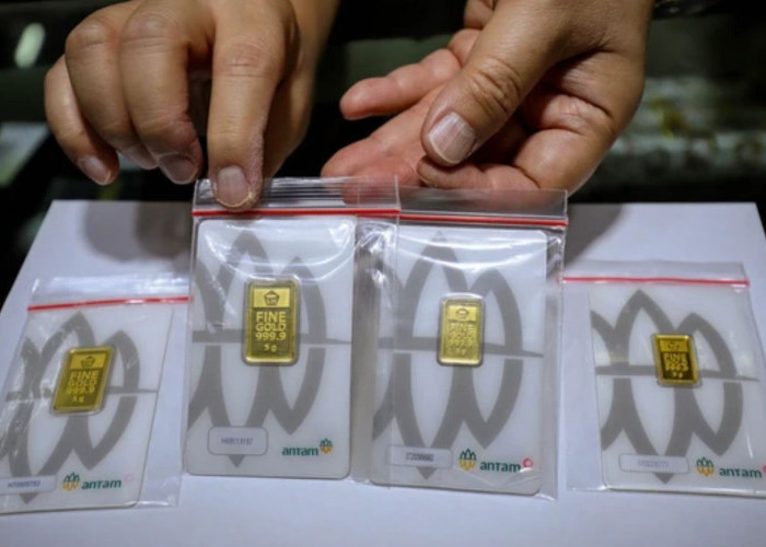 Harga Emas Antam Hari Ini 24 September 2026 Turun Rp25.000, Cek Harga Terbarunya