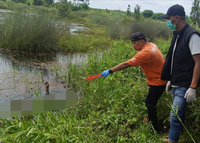 Bocah yang Ditemukan di Lebak Rawa Kebun Tebu PTPN 7 Cinta Manis Ogan Ilir, Alami Keterbelakangan Mental