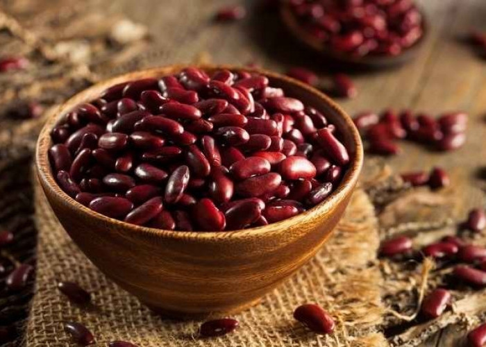 6 Manfaat Kacang Merah Buat Kesehatan Tubuh, Cocok Juga untuk Diet