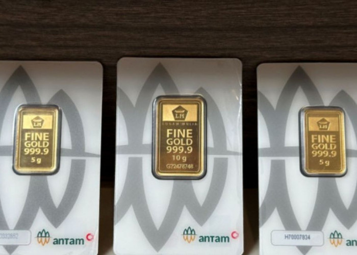 Harga Emas Antam 14 Juli 2026 Stabil Setelah Turun Rp 20.000, Berikut Rincian Harga 0,5 Gram hingga 1 Kg
