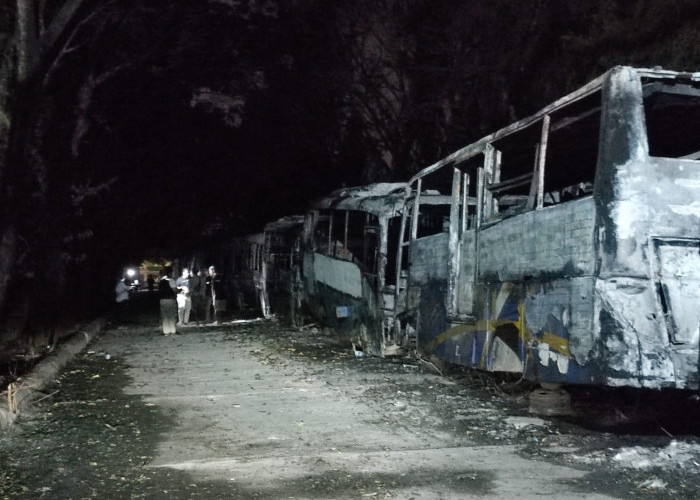 Ratu Dewa Minta Polisi Selidiki Penyebab Terbakarnya 12 Bus Trans Musi di Terminal AAL Palembang 