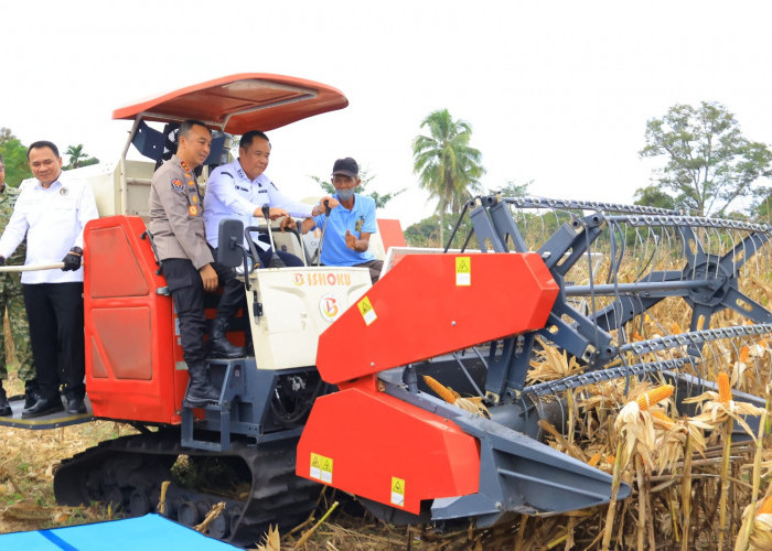 Hadiri Panen Raya Jagung di OKU Selatan, Wagub Cik Ujang Tegaskan Komitmen Sumsel Dukung Ketahanan Pangan