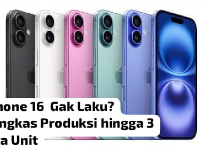 DAHSYAT! Imbas Pelarangan Penjualan iPhone 16 oleh Indonesia, Apple Kurangi Produksi Besar-besaran?