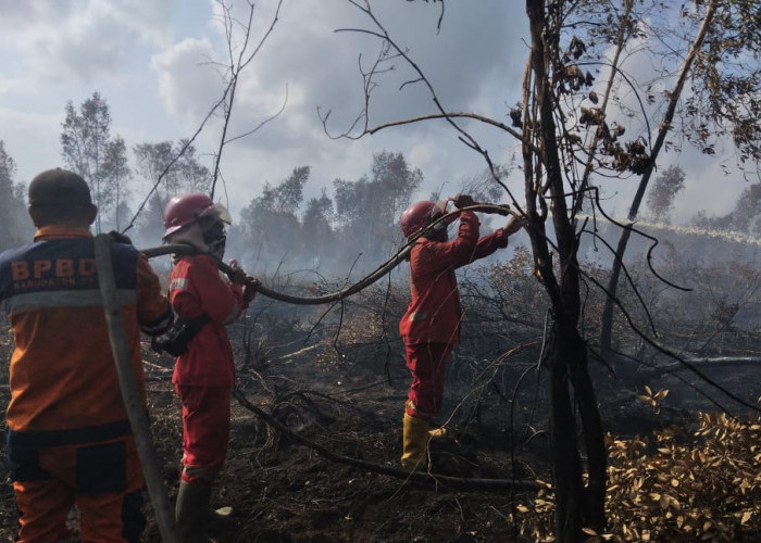 Personel Gabungan Lakukan Mopping Up Karhutla di Desa Simpang Tiga Tulung Selapan OKI 