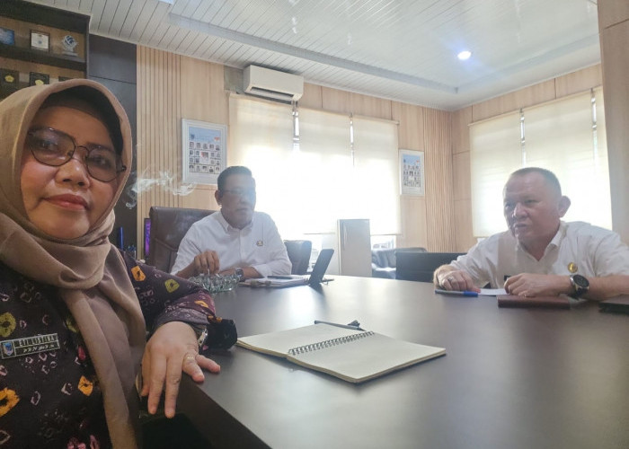 Pendataan Jembatan Akses Sekolah Dimulai, Presiden dan Kementerian PUPR Siapkan Bantuan Pembangunan