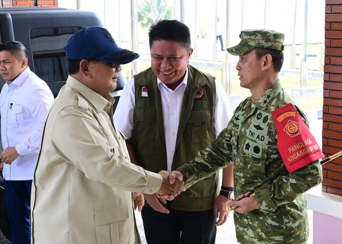 Perkuat Tangani Karhutla, Presiden Prabowo Setujui Permintaan Armada dan Peralatan dari Gubernur Sumsel