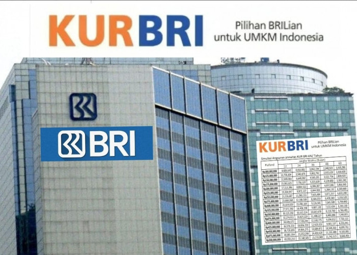 Mau Modal Usaha? Ini Panduan Lengkap KUR BRI 2025 untuk UMKM