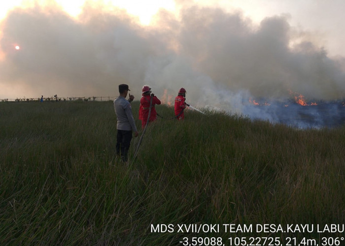 Pemadaman Karhutla di OKI Terkendala Akses  ke Lokasi Sulit dan Jauh Sumber Air