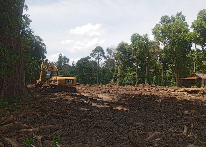 Warga Pertanyakan Proses Pembangunan Jalan Diduga Hauling Batu Bara di Desa Kepur Muara Enim