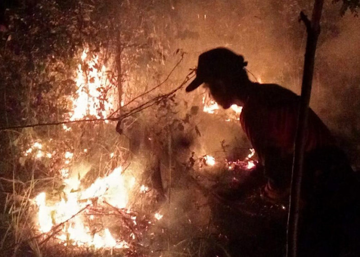 Sehari Empat Hektare Lahan Terbakar di Kelurahan Muara Enim dan Kelurahan Pasar 1