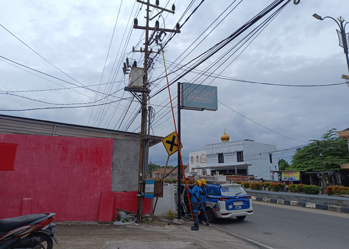 Gegara Monyet Nyangkut di Tiang Listrik, Sebagian Kayuagung Jadi Padam