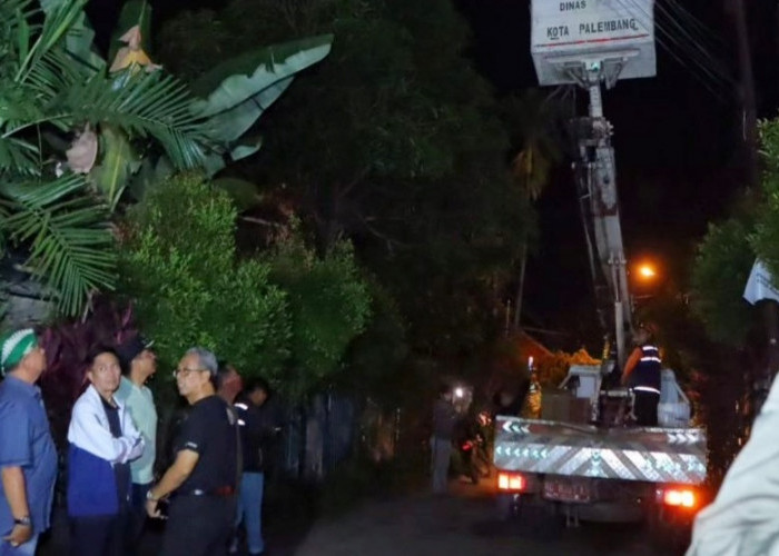 Tanggapi Keluhan Warga Kalidoni, Ratu Dewa Turunkan 15 Petugas Perbaiki 430 Lampu Jalan