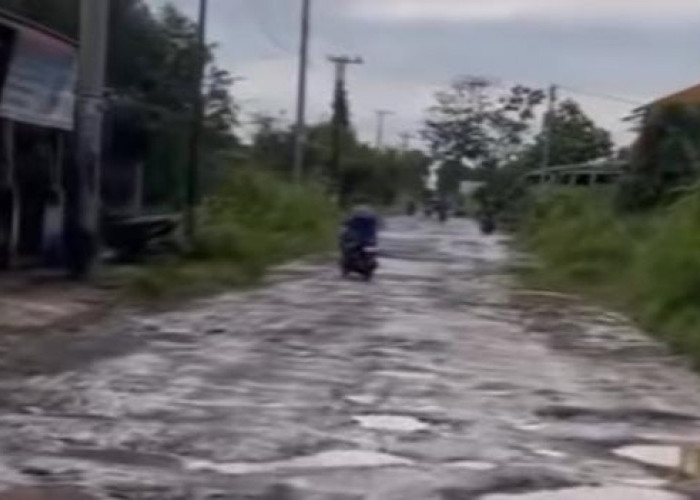 Warga Meritai Banyuasin Keluhkan Jalan Rusak Tergenang Air, Persulit Akses, Soroti Peran Pihak Pengembang 