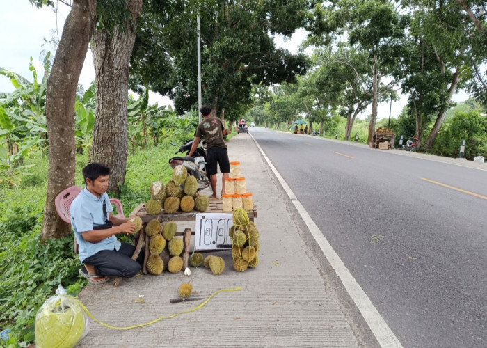 Pedagang Duren Musiman di Jalan Lintas Kayuagung Panen Rezeki