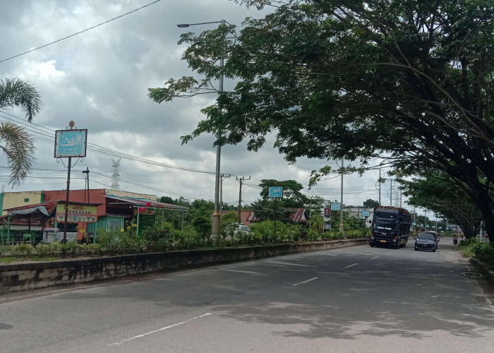 2 Kepala Dinas di Kabupaten Musi Rawas Utara 'Dicopot' Gegara Lampu Jalan dan Data Penerima Bansos Hilang