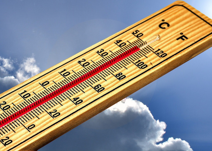 Waspada Heatstroke: Berikut Tanda-Tanda dan Langkah Penangananya