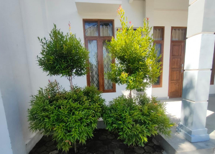 Peringati Hari Bumi Sedunia 2026, KAI Divre III Palembang Dukung Penguatan Transportasi Hijau