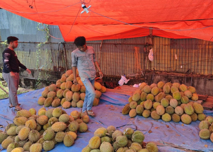 5 Kuliner Khas Sumsel Menggunakan Durian, Tawarkan Rasa Manis, Gurih dan Menggugah Selera 