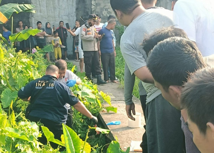 Pelaku Pembunuhan Buang Mayat Perempuan Bawah Jembatan Setapak di Palembang Ditangkap, Dipicu Barang Haram 