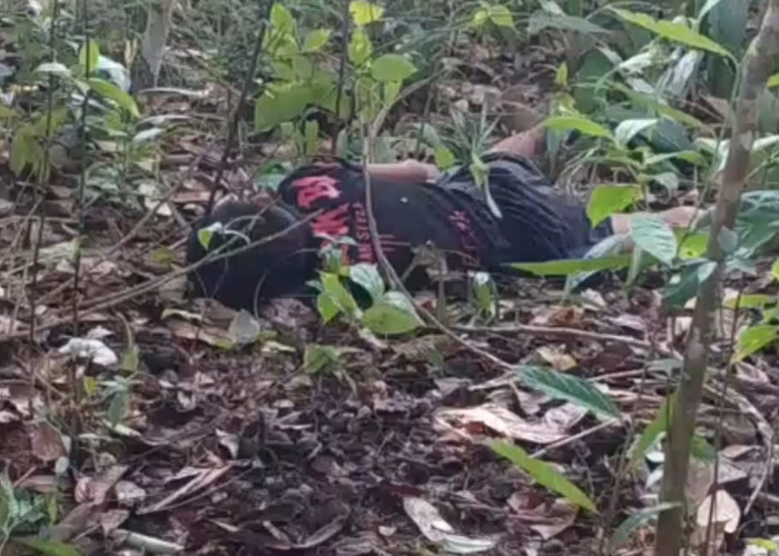 Warga Desa Sungutan OKI Heboh Temukan Mayat di Kebun