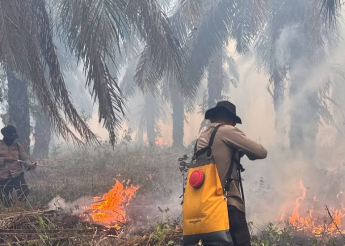 Polda Sumsel Kerahkan Personel Padamkan Karhutla di Wilayah PT PAR OKI