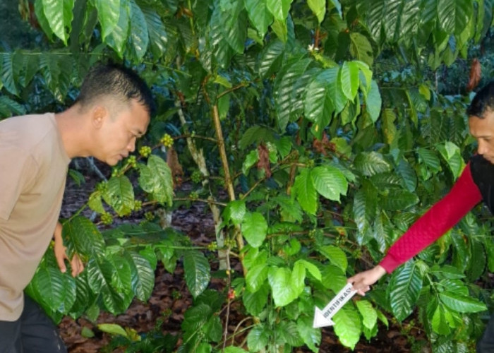 Kapolres OKU Ungkap Kasus Pembunuhan di Desa Mendingin