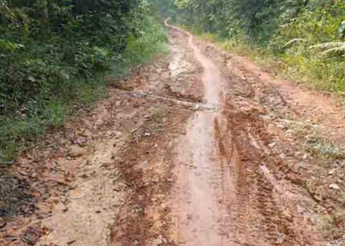Memprihatinkan, Warga Desa Epil Barat Minta Jalan Rusak Segera Diperbaiki