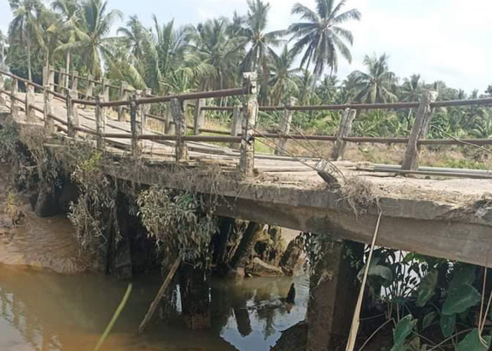 Kondisi Jembatan Desa Bintaran Kritis, Ancaman Bagi Keselamatan Warga