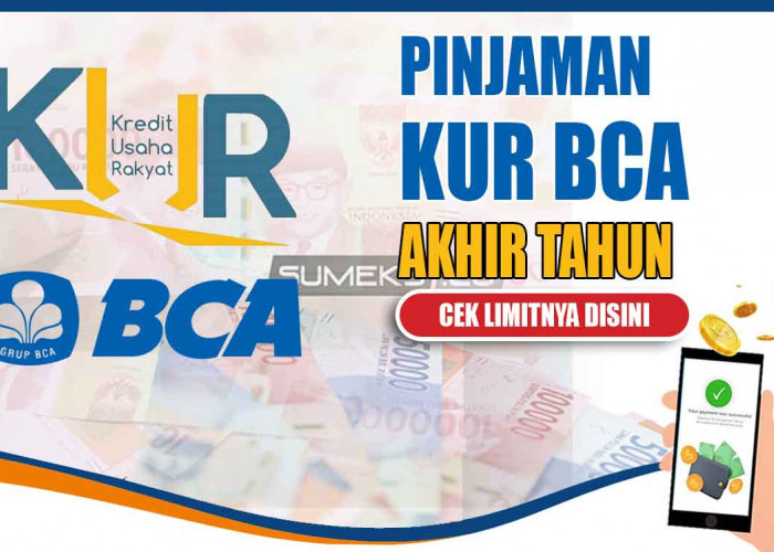 Program Akhir Tahun! KUR BCA Masih Tersedia, Cek Limit Pinjaman dan Cara Pengajuannya