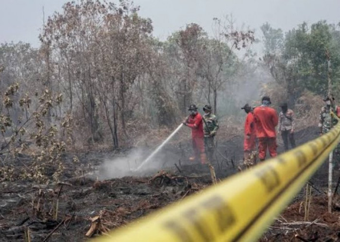 Kejari OKI Terima 2 SPDP Kasus Karhutla, Titik Hotspot Tertinggi se-Sumsel