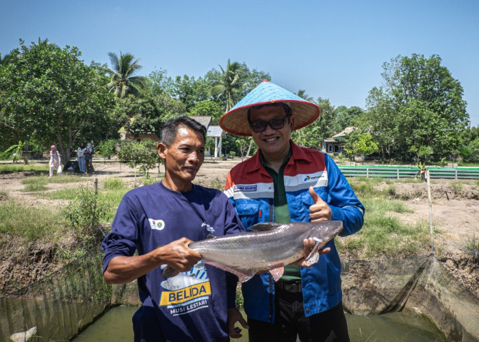 Pelestarian Ikan Belida: Upaya Kilang Pertamina Jaga Identitas Sungai Musi dan Warisan Kuliner Palembang