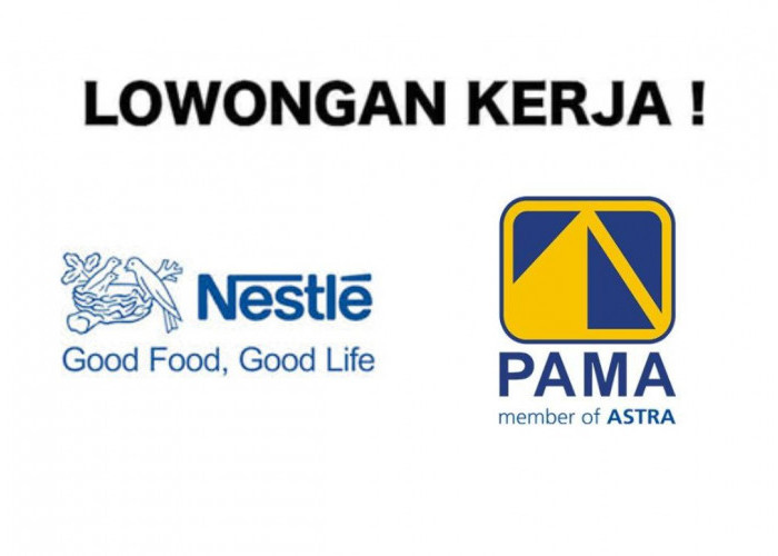 Lowongan Kerja PT Nestlé dan PT Pamapersada Nusantara Kembali Dibuka, Daftar Sekarang Melalui Link Resmi Ini!