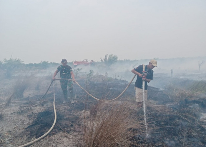 Lahan 5 Hektar di Pulau Beruang Tulung Selapan OKI Terbakar, Tim Gabungan Padamkan 