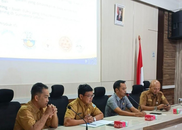 Nanas Tuatunu Pangkalpinang Segera Didaftarkan sebagai Indikasi Geografis, MPIG Mulai Disiapkan