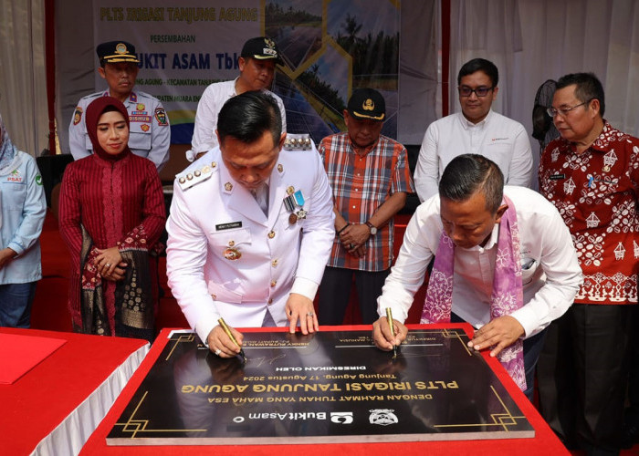 Kado Istimewa di HUT ke-79 RI ke-79, PTBA Resmikan PLTS Irigasi untuk Petani di Tanjung Agung