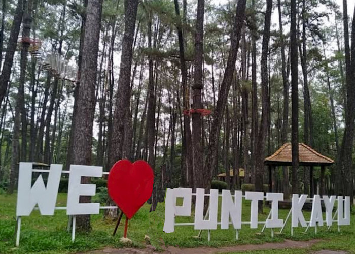 URGEN, Perbagus Wisata Alam Punti Kayu, Warga Palembang Jenuh Healing di Mal 