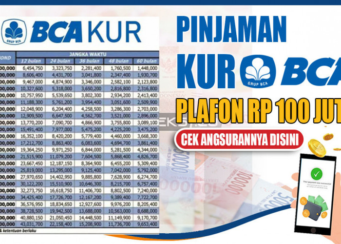 Buruan, KUR BCA Plafon Rp100 Juta Bisa Segera Cair dengan Cicilan Mulai Rp1 Jutaan, Ini Cara Mudahnya