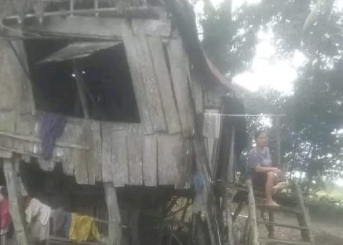 Nyaris Roboh, Gubuk Reot di Kabupaten Ogan Ilir Butuh Perhatian, Dihuni Satu Keluarga 