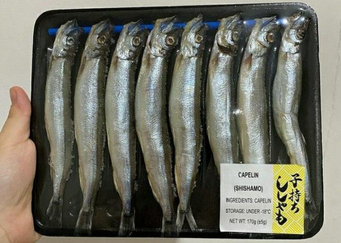 Mengandung Nutrisi Tinggi, Ini 5 Manfaat Ikan Shisamo untuk Kesehatan