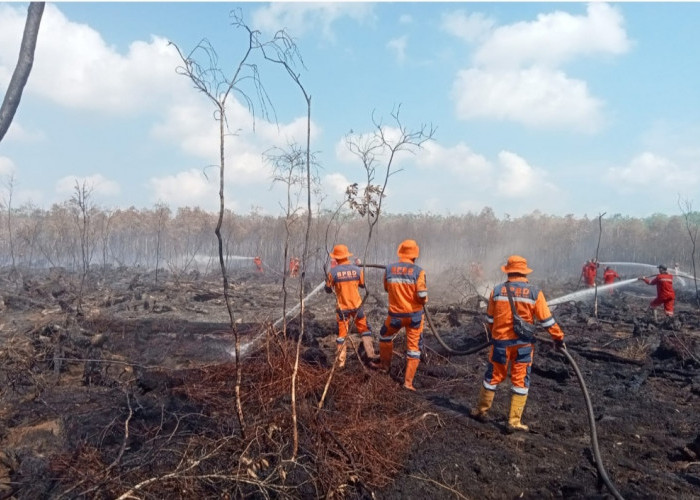 Hari Ini Terpantau 4 Titik Hotspot di OKI, Ada Beberapa Kecamatan Turun Hujan