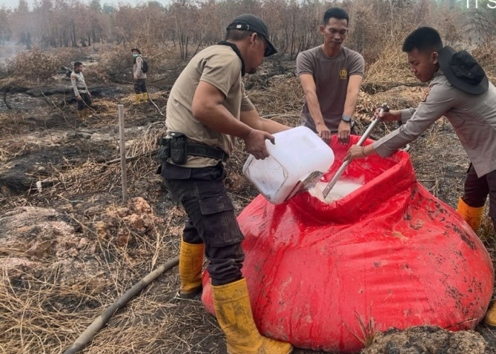 Giliran Formula X-Fire Diuji Atasi Karhutla di Ogan Ilir, 14 Personel Tangani Lahan Gambut 4 Hektare