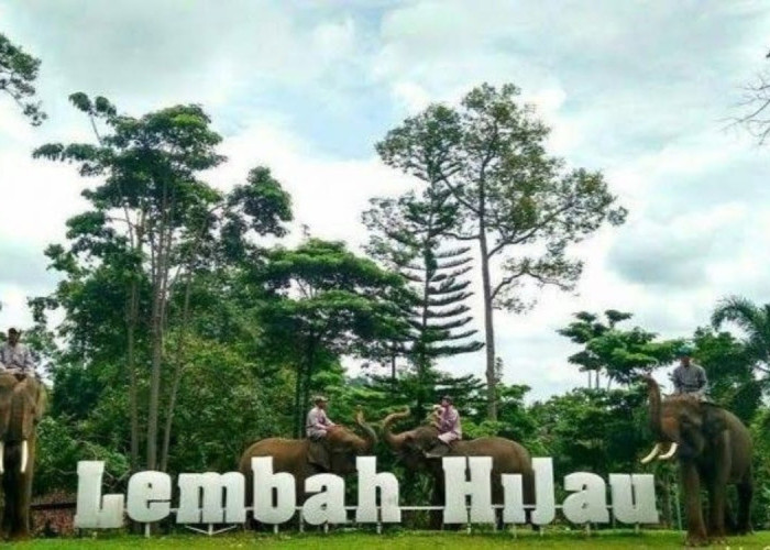 Liburan Seru Tanpa Boros! Lembah Hijau Lampung Suguhkan Satwa hingga Waterboom: Segini Harga Tiket Terkini 