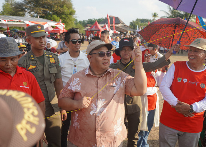 Festival Layang-Layang Pinang Banjar Hiasi Langit dalam Peringatan Hari Pariwisata Dunia ke-44