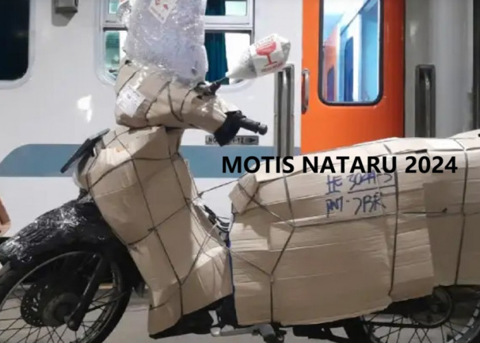 Kuota Motis Nataru 2024 Masih Ada? Tak Cuma KTP, Lengkapi Syaratnya Jika Tak Mau Pendaftaran Ditolak